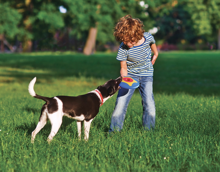 Trotto DISK cane & CUCCIOLO GIOCATTOLI Fetch Gettare Bounce FRISBEE BAMA Pet 
