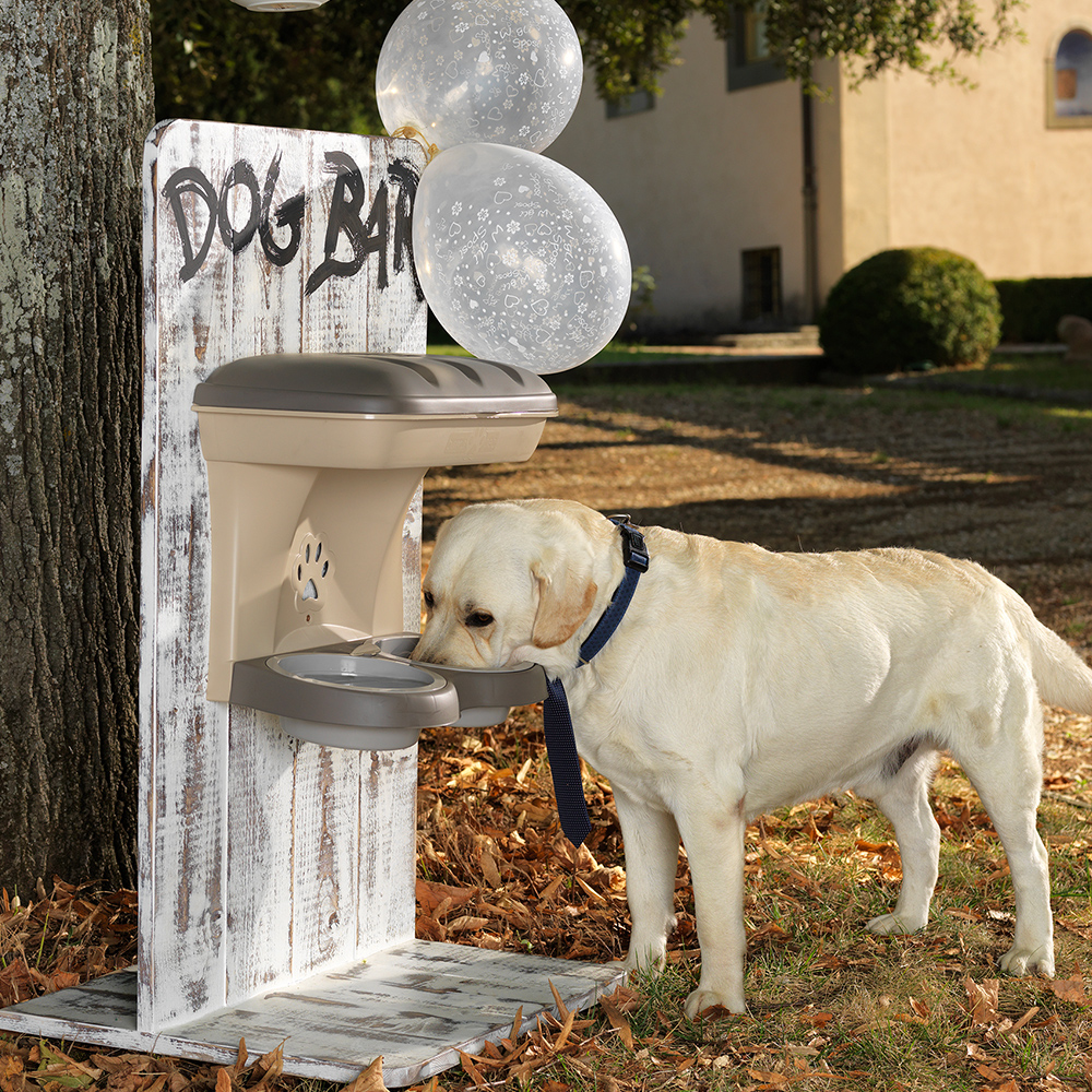 BOWLS FOR DOGS TO BE HUNG ON WALL FOOD STAND & FOOD STAND MAXI, Bama Pet