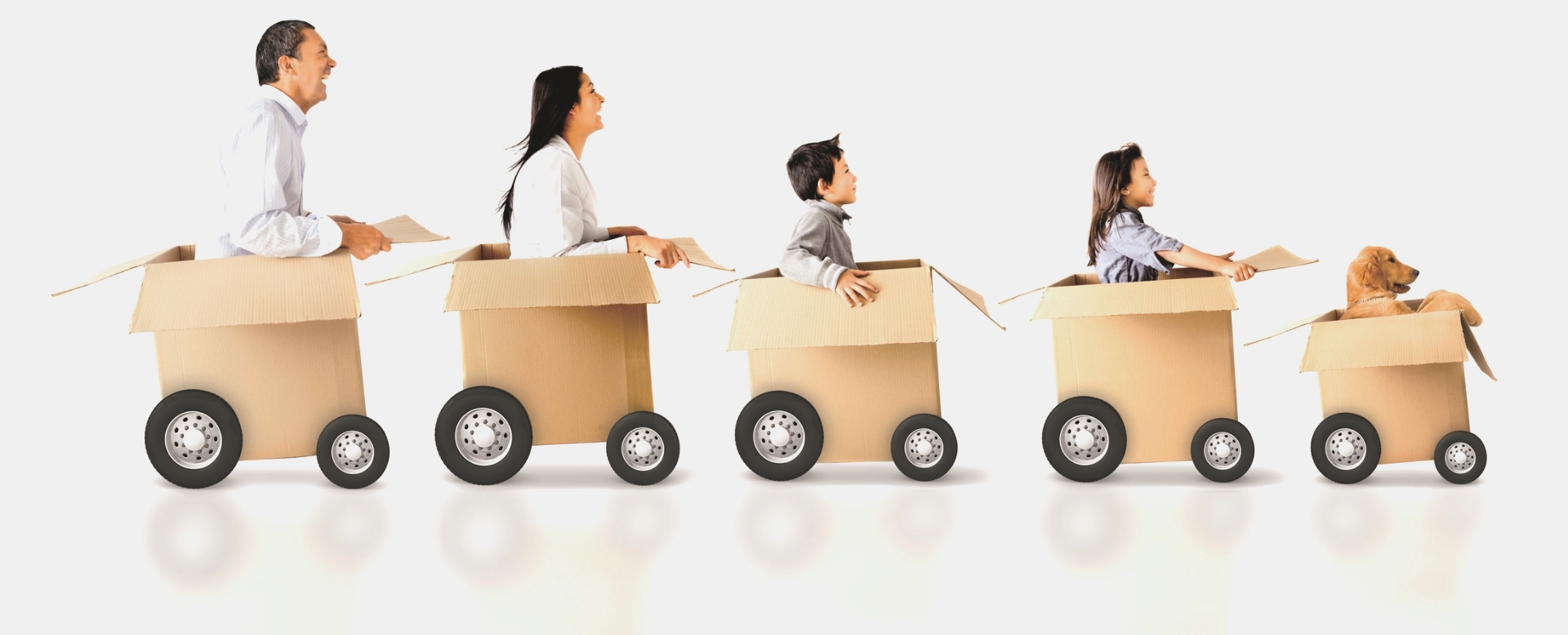 Prodotti per Giardino, Promo Box BamaGroup