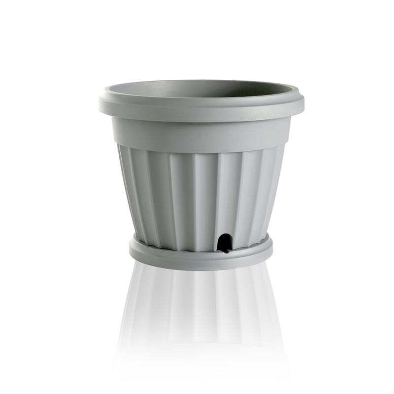 VASO IRIS CON SOTTOVASO