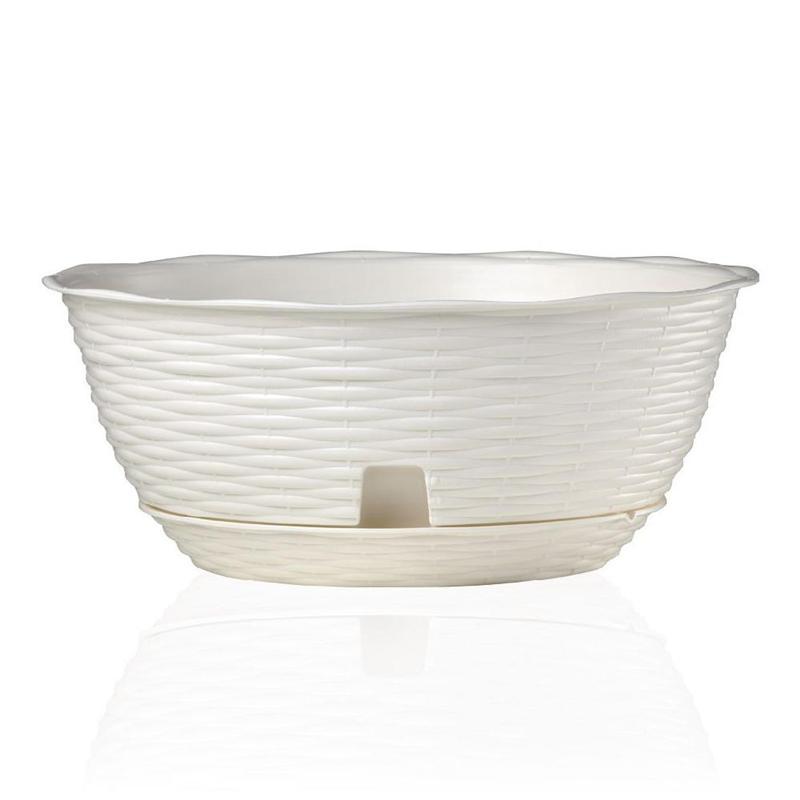 PAGLIA BOWLS