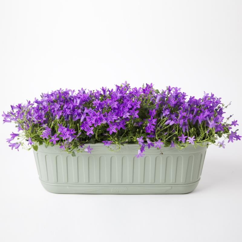 ETIKA FLOWER BOX