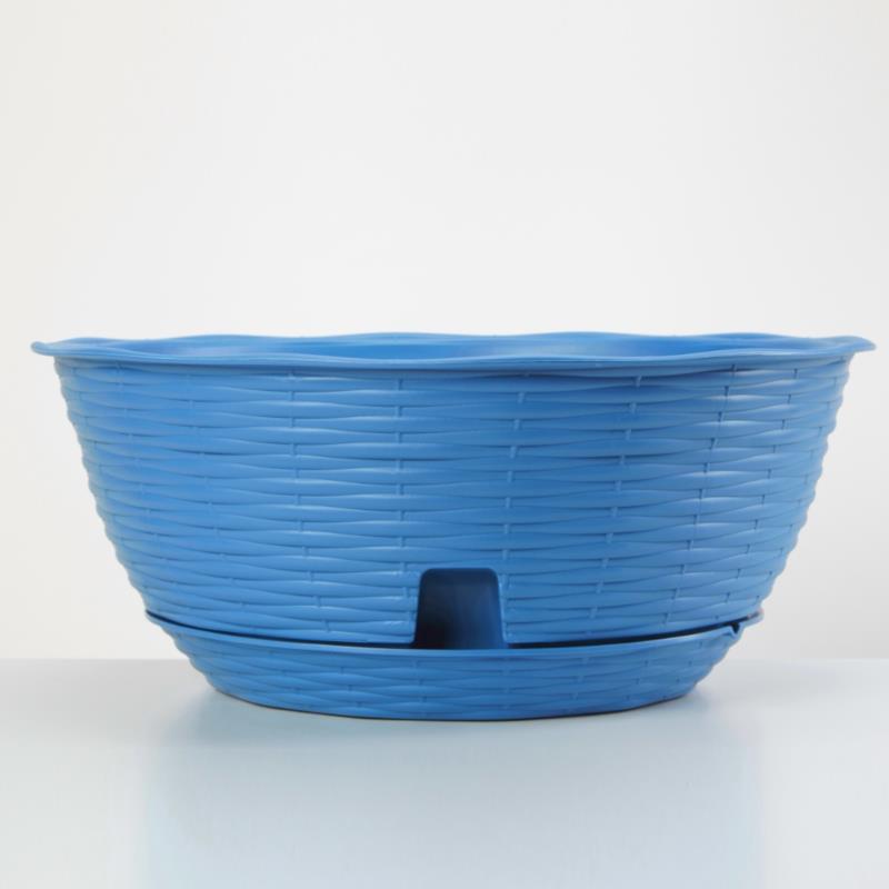 PAGLIA BOWLS