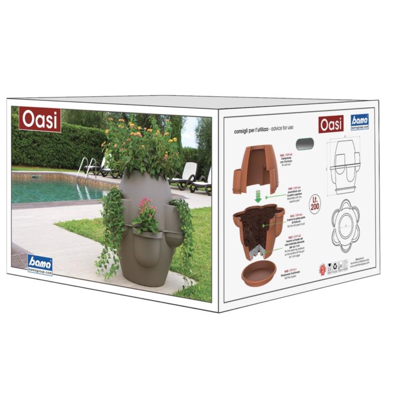 FLOWERBOX OASI