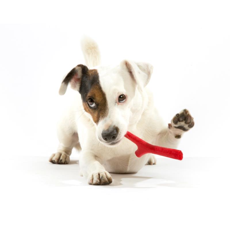 PLAYSTICK FOR DOGS TUTTOMIO