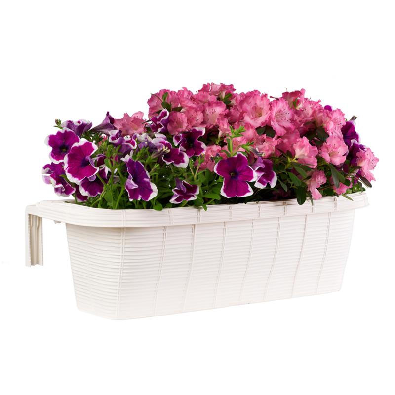 flowerbox RONDINE PAGLIA