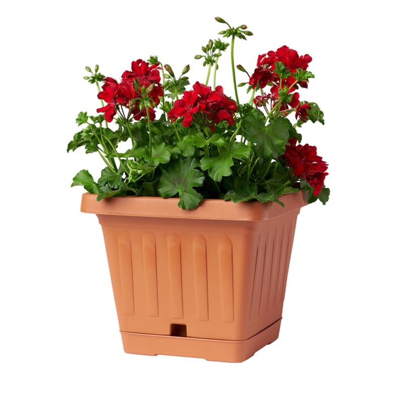 TERRA SQUARE POT