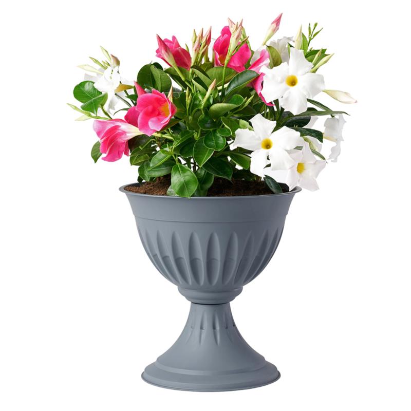 ALBA FLOWER CUP 