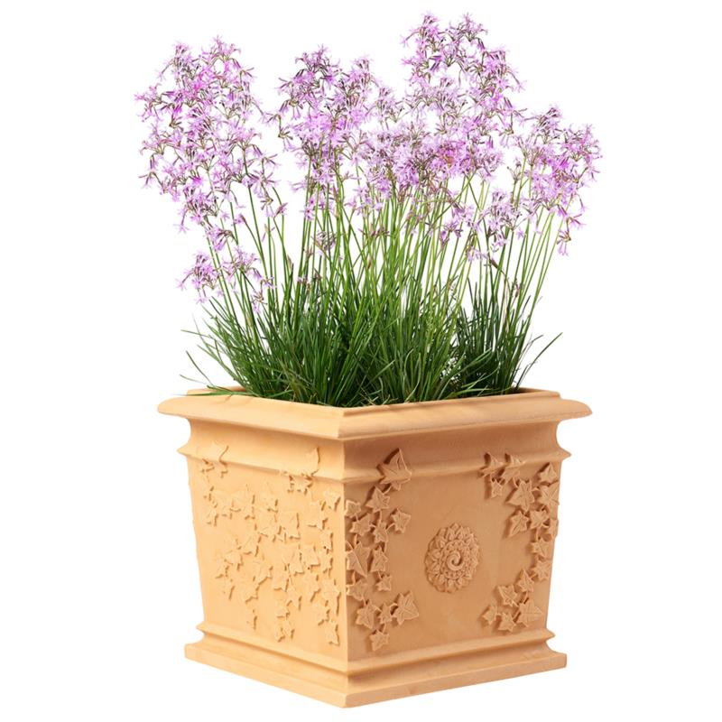 VITE SQUARE POT