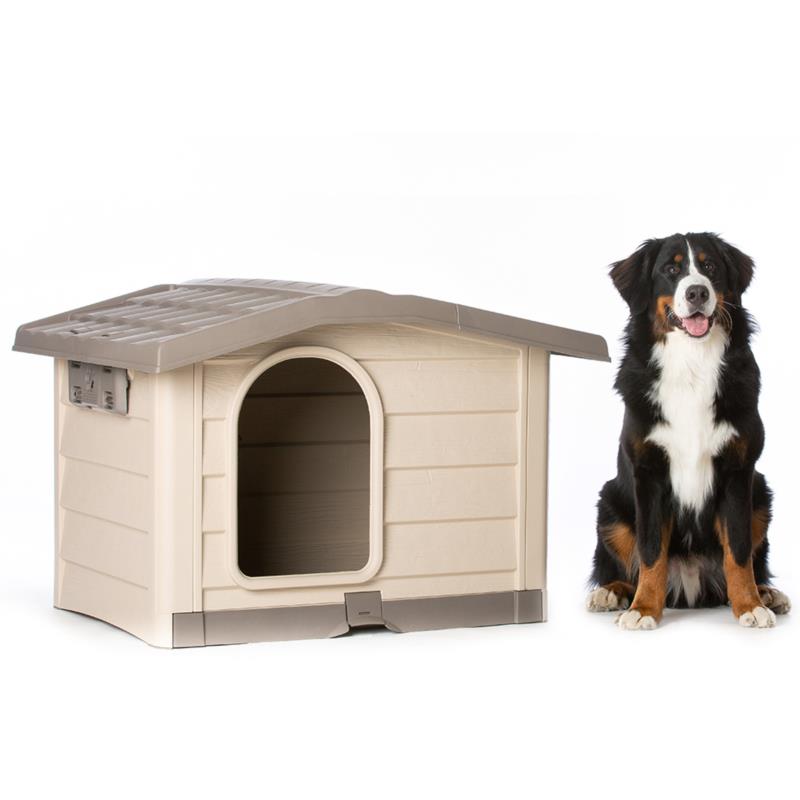 Doghouse BUNGALOW