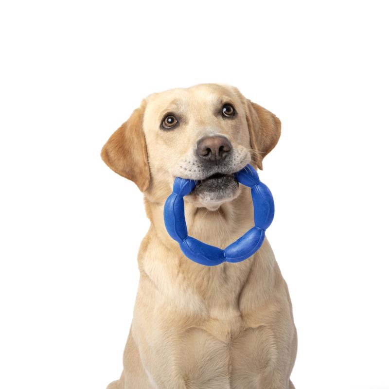 GIOCO PER CANI HULA DOG