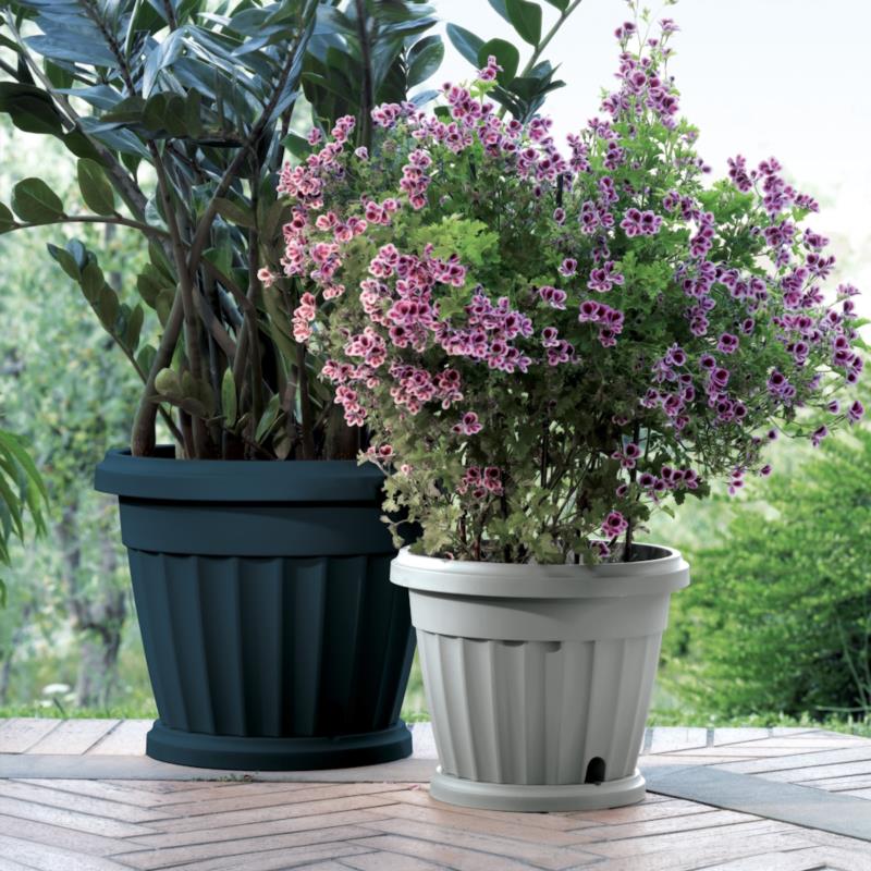 IRIS POT WITH SAUCER