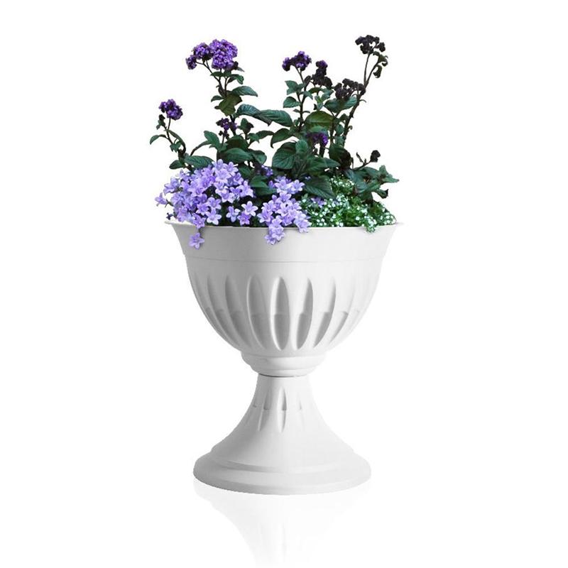 ALBA FLOWER CUP 