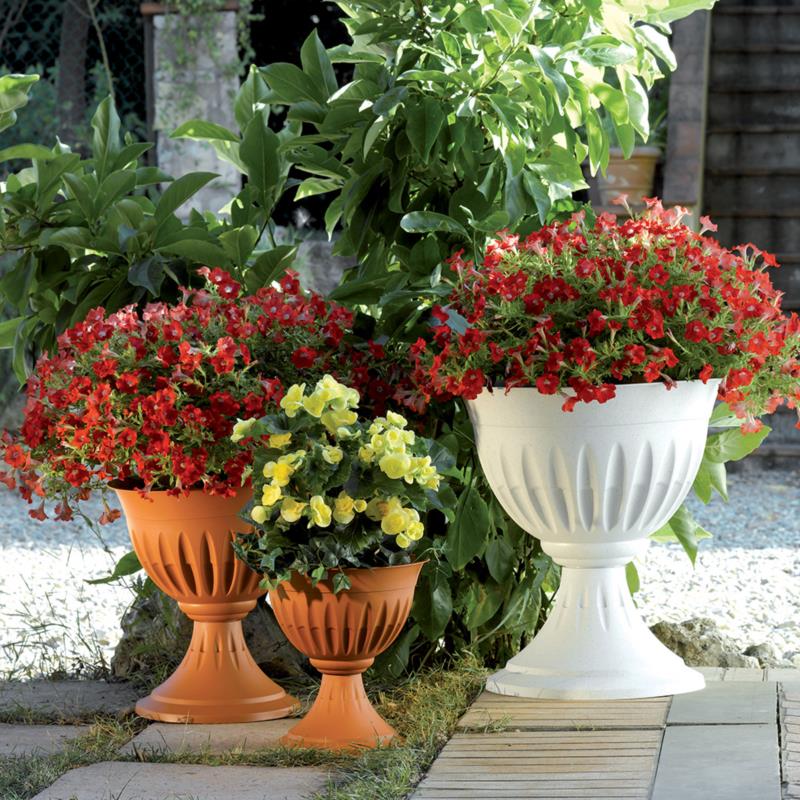 Москва Уличные Растения Цветы Купить Адреса Магазинов