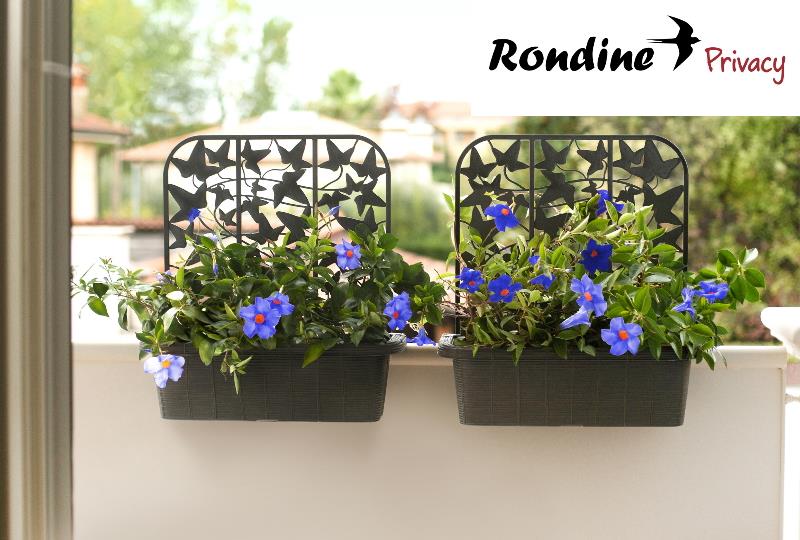 RONDINE PRIVACY FLOWER BOX SET 2PCS