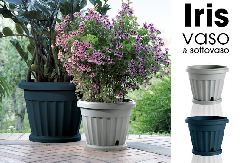 VASO IRIS C/SOTTOVASO