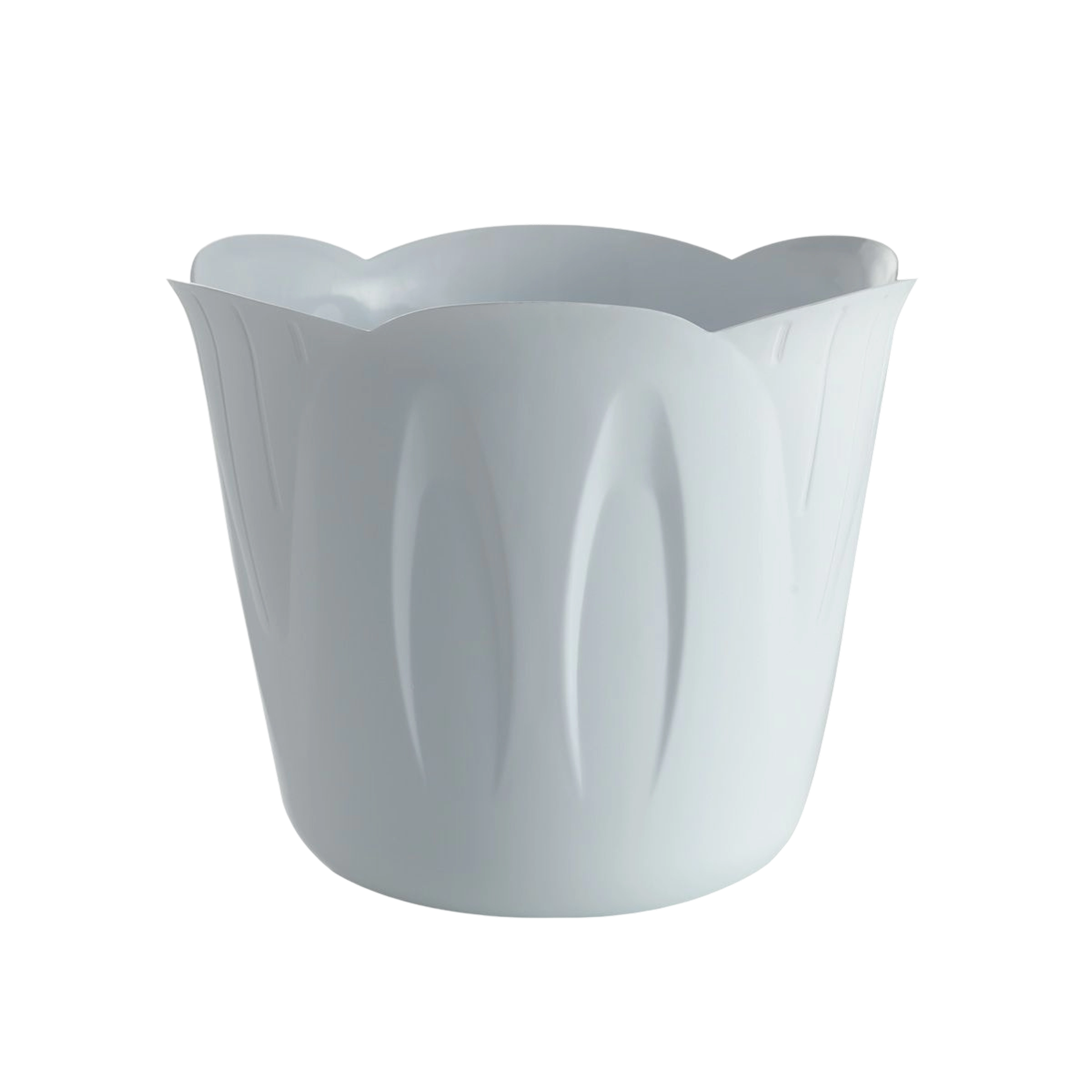 coprivaso per piante Mimosa