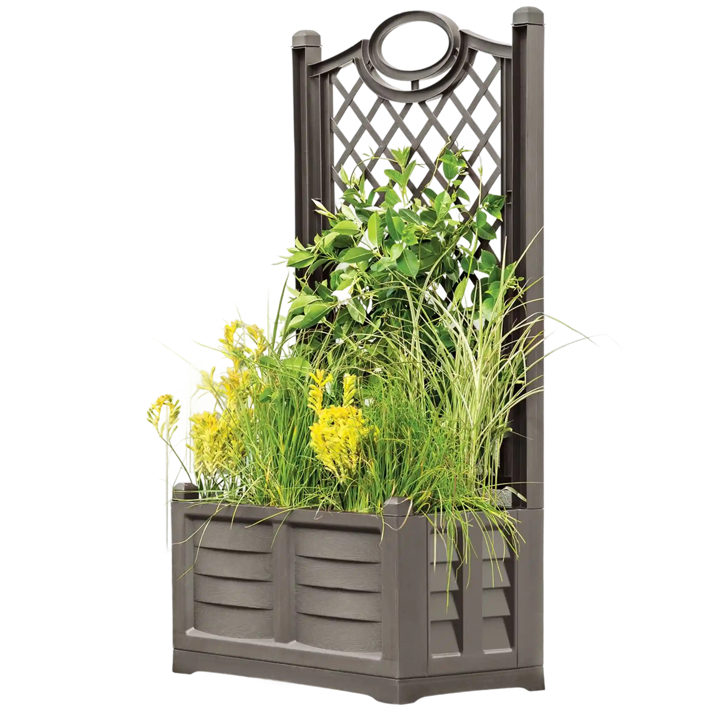 fioriera con spalliera Separe