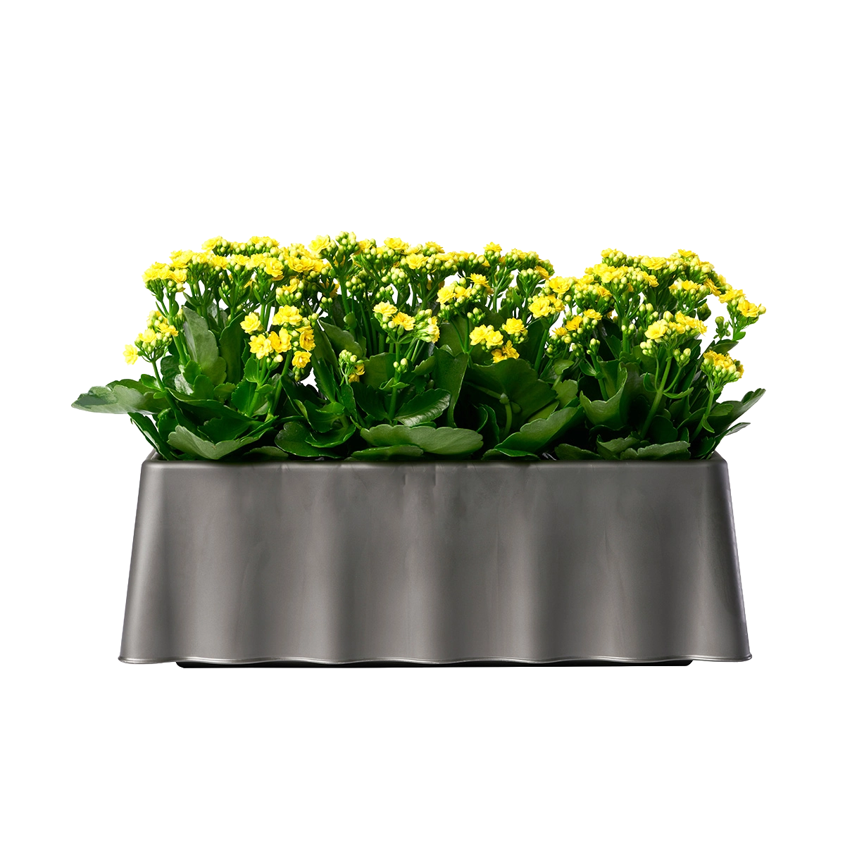 fioriera di plastica Brezza