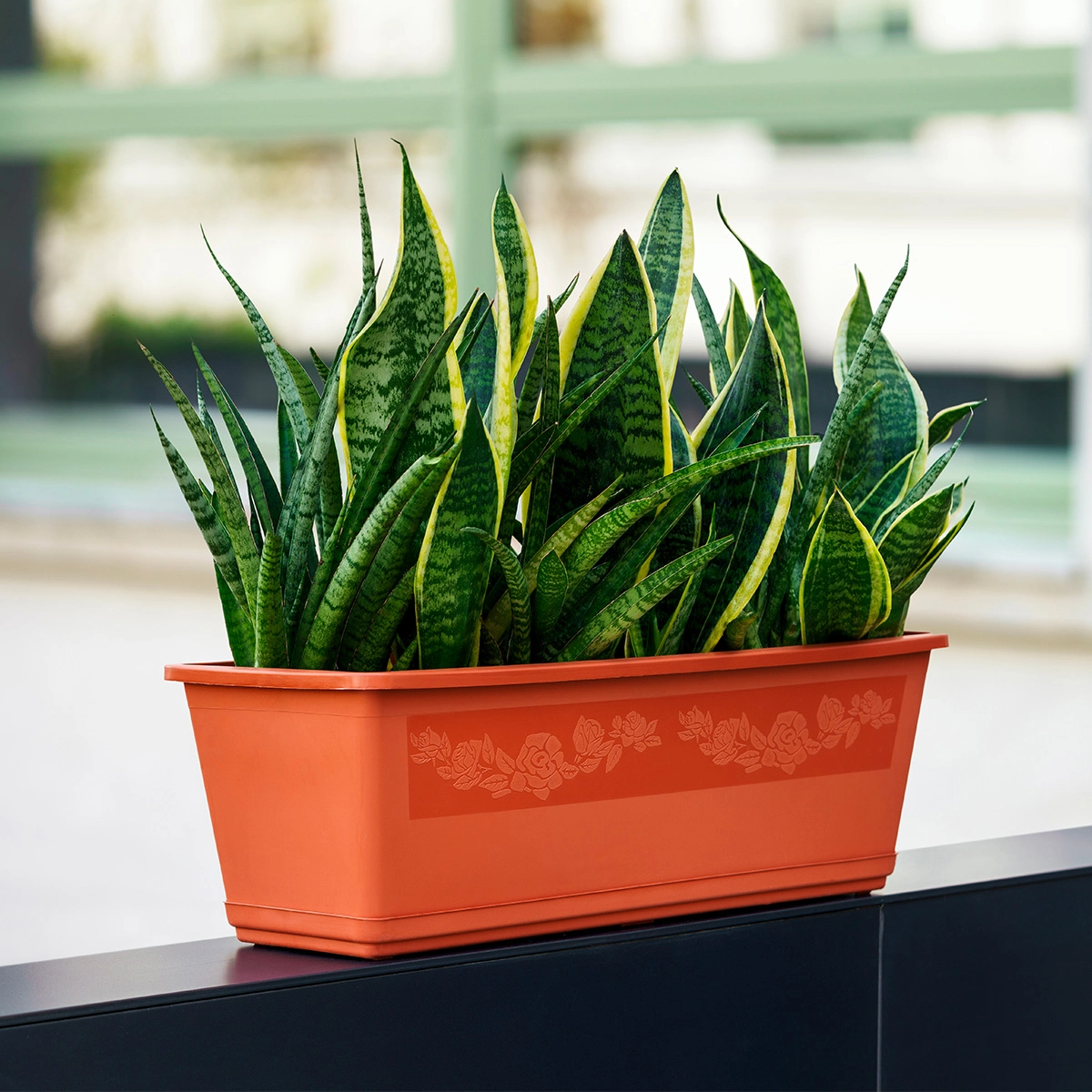 Fioriera Da Balcone PAFEN – 58,5x28,5x20,5 Cm – Vaso In Plastica 18 Litri Con Fissaggio A Ringhiera, Antracite