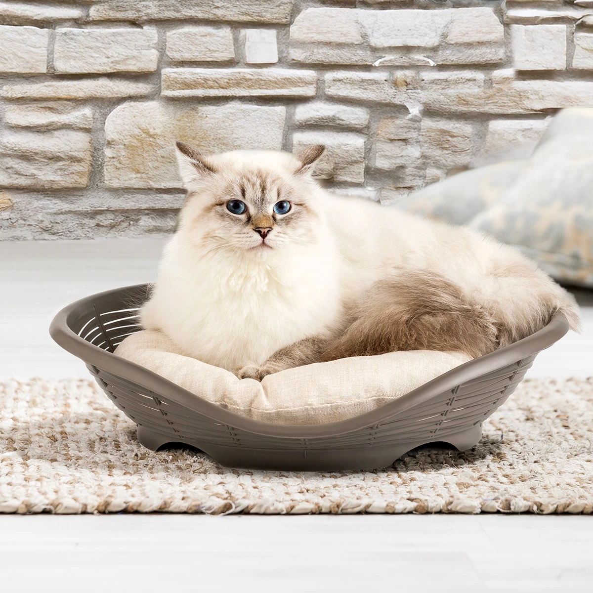 lettino in plastica con cuscino Pasha