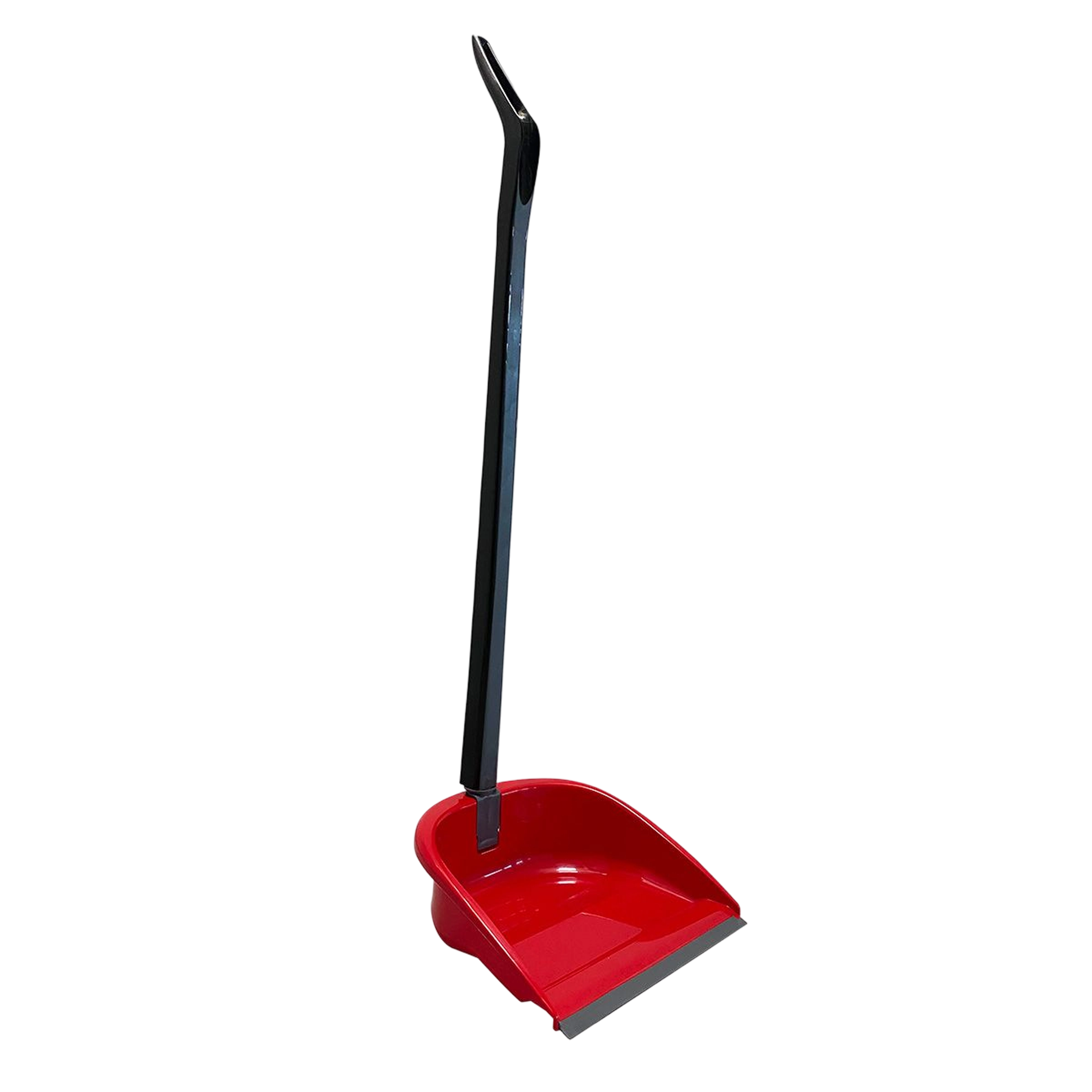 paletta alzaimmondizia ara