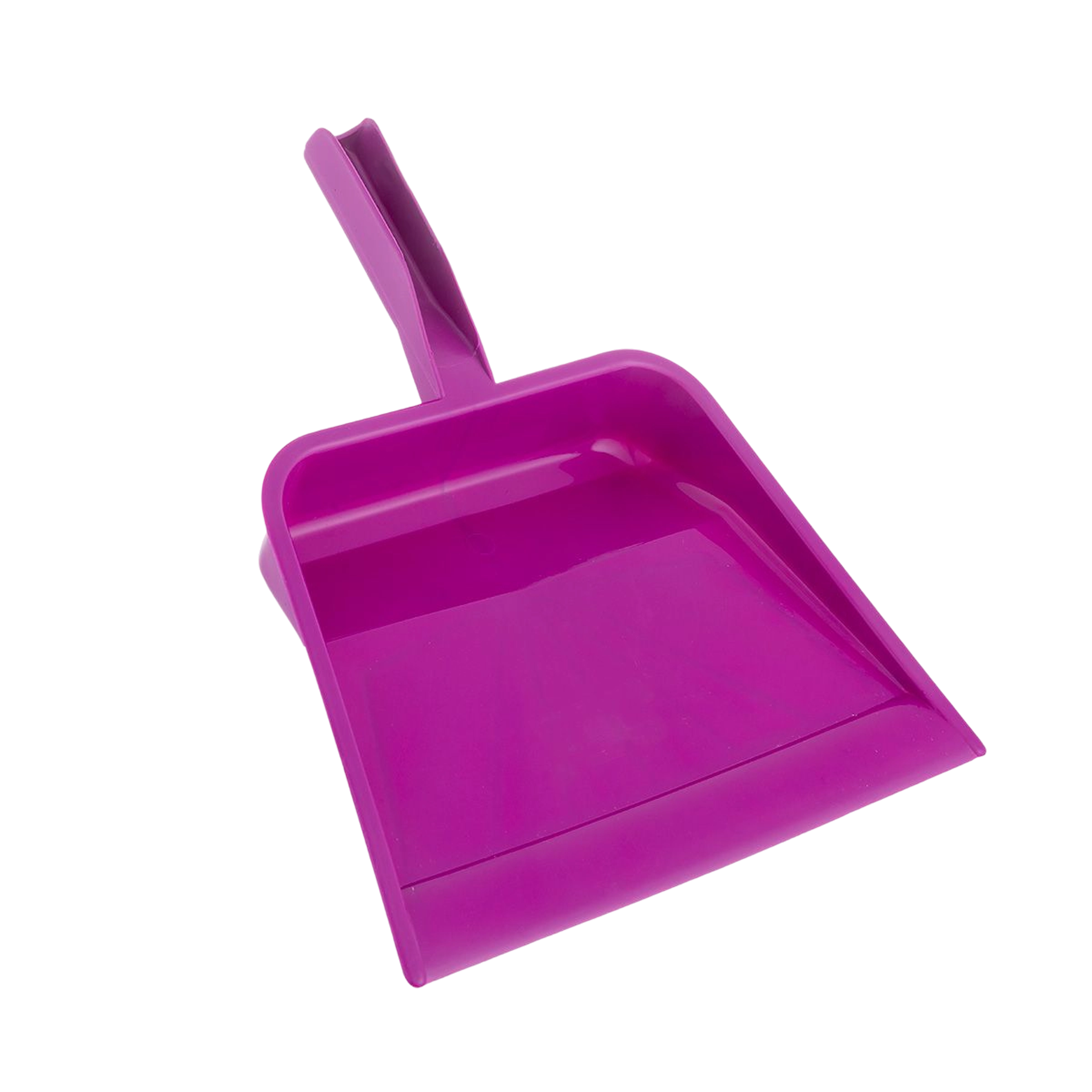 paletta per pulizie grande