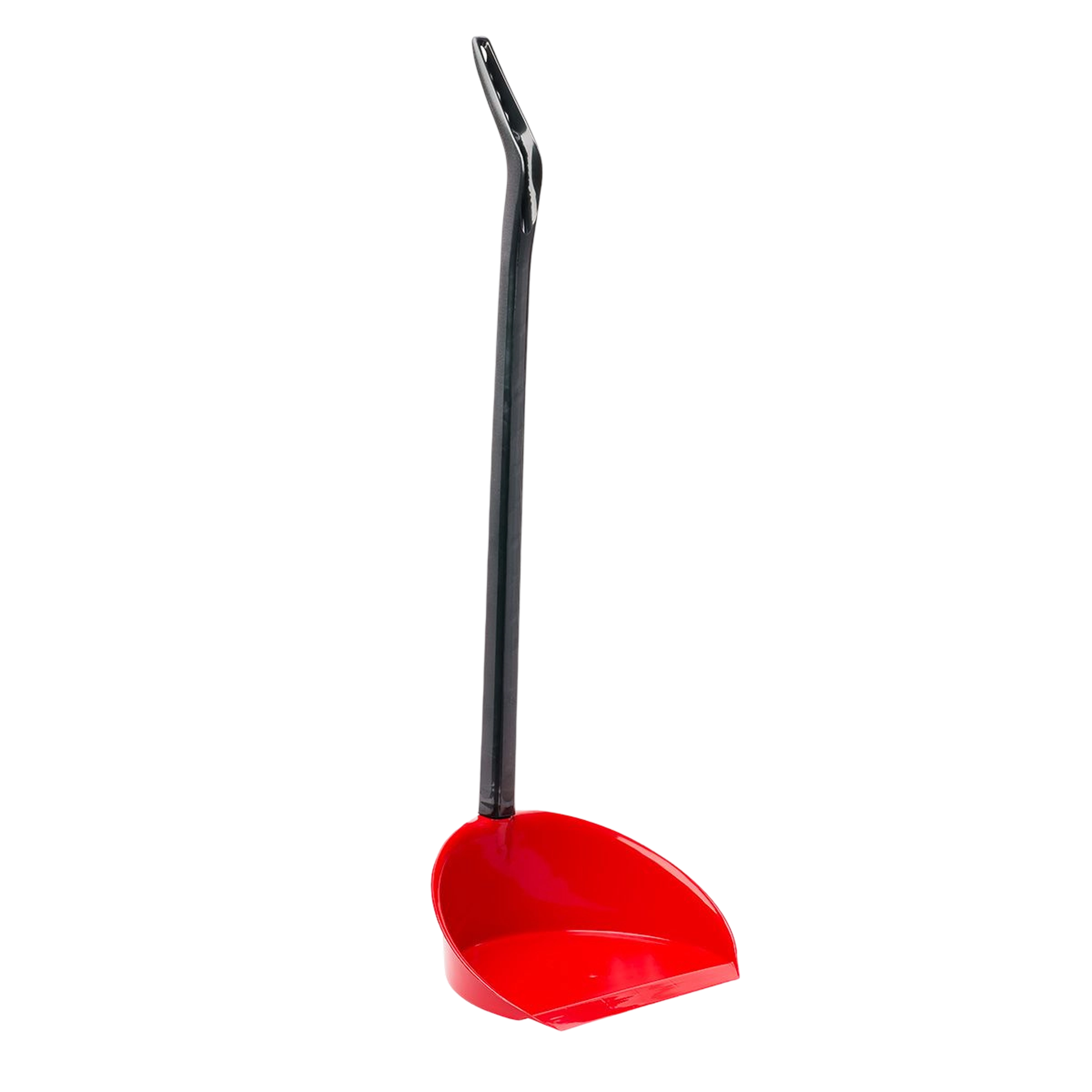 paletta raccogli sporco normale