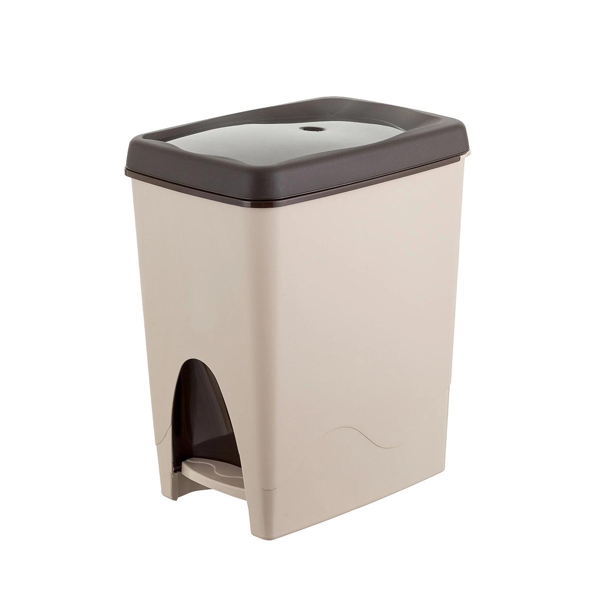 pattumiera quotidiana