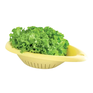 scolatutto per lavello coli