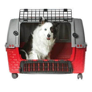trasportino auto per cani Easy Tour