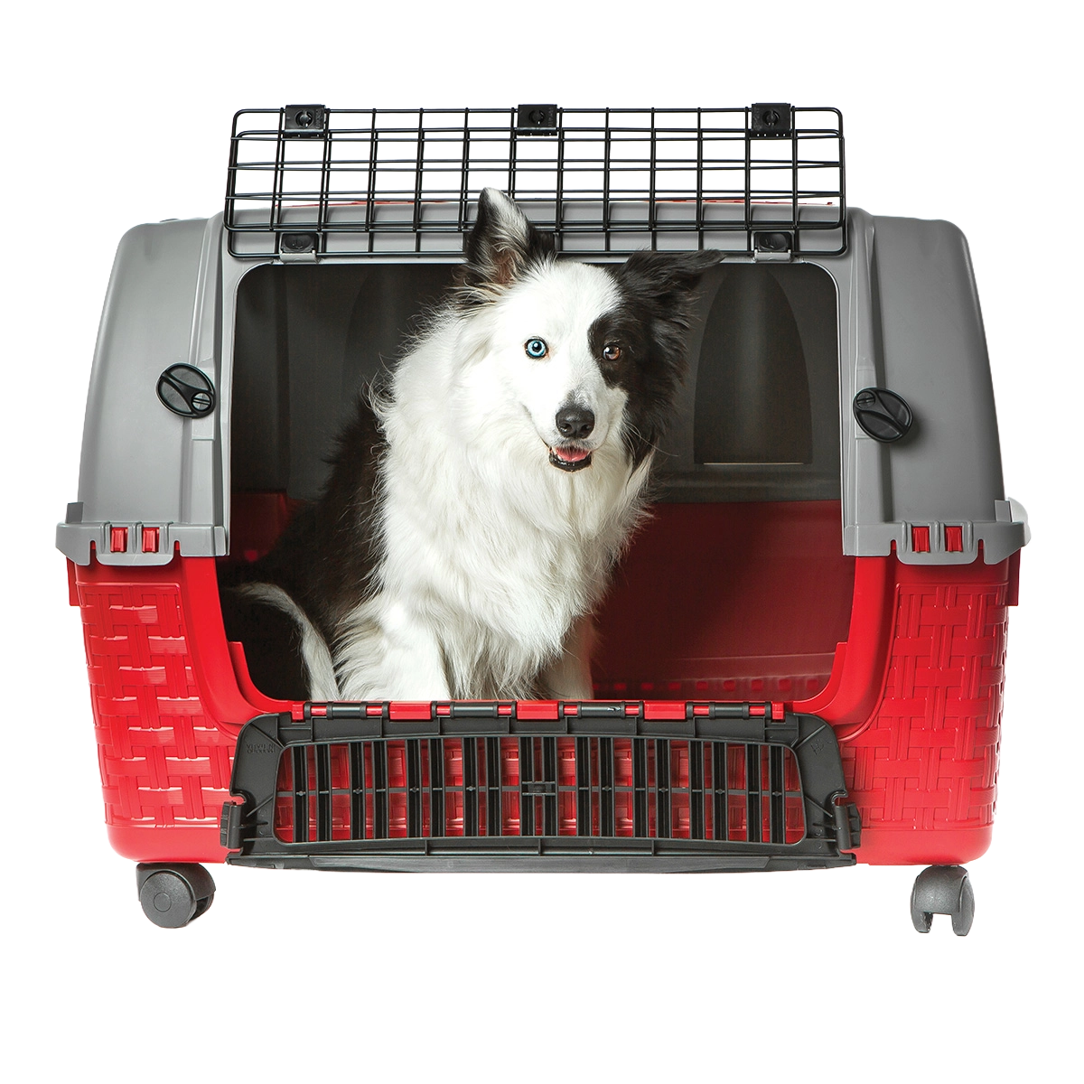 trasportino auto per cani Easy Tour