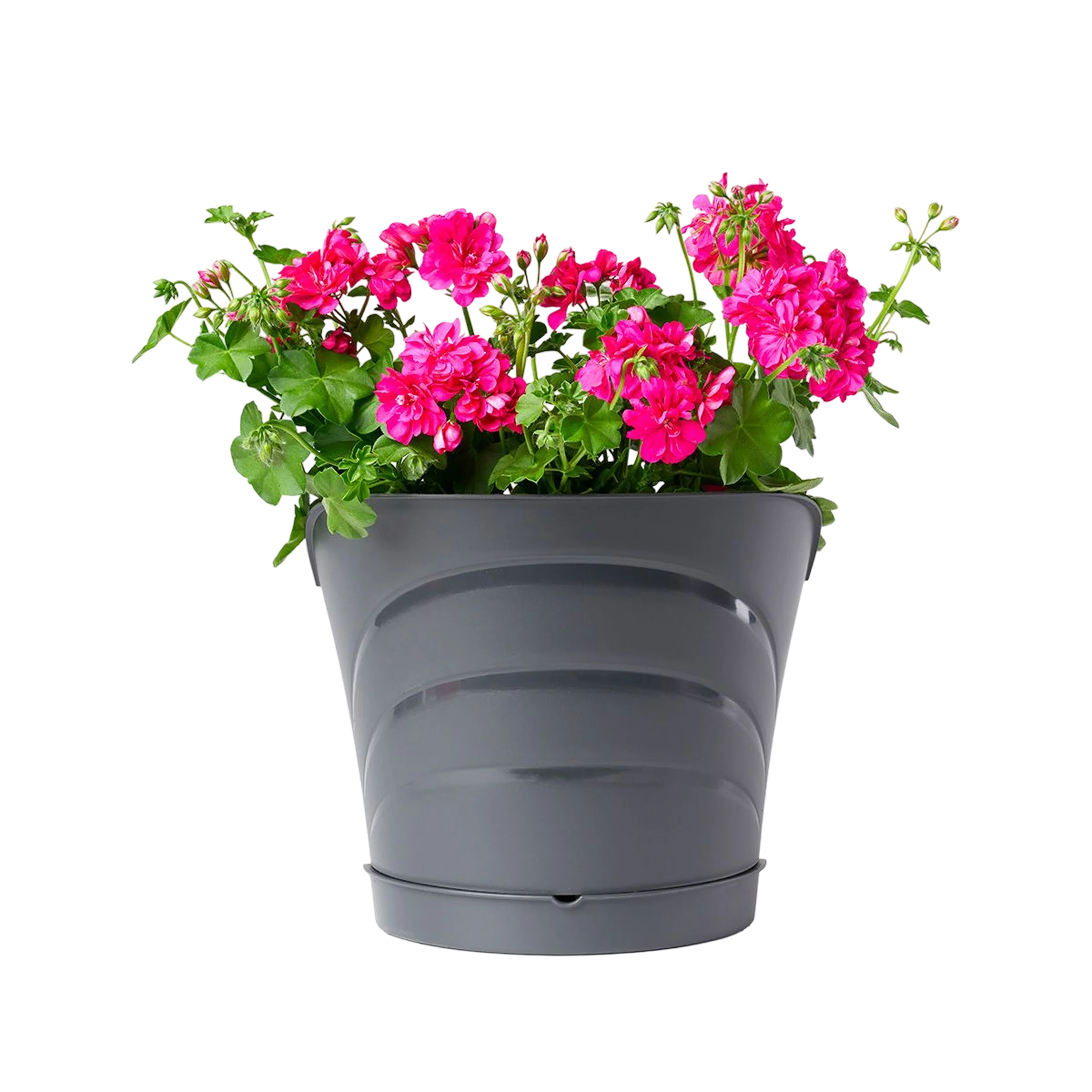 vasi semicerchio con foro Tulipano