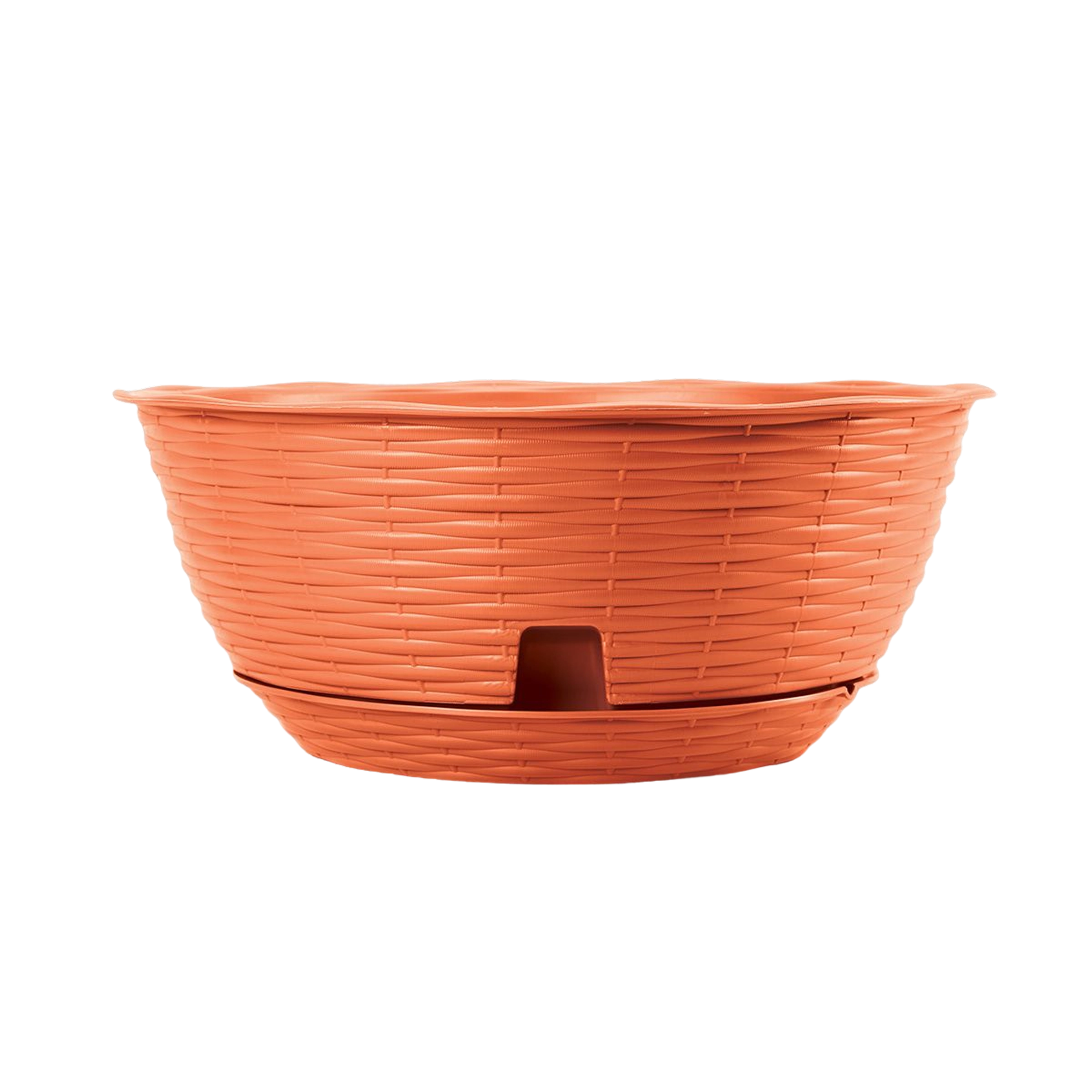 vaso ciotola plastica Paglia