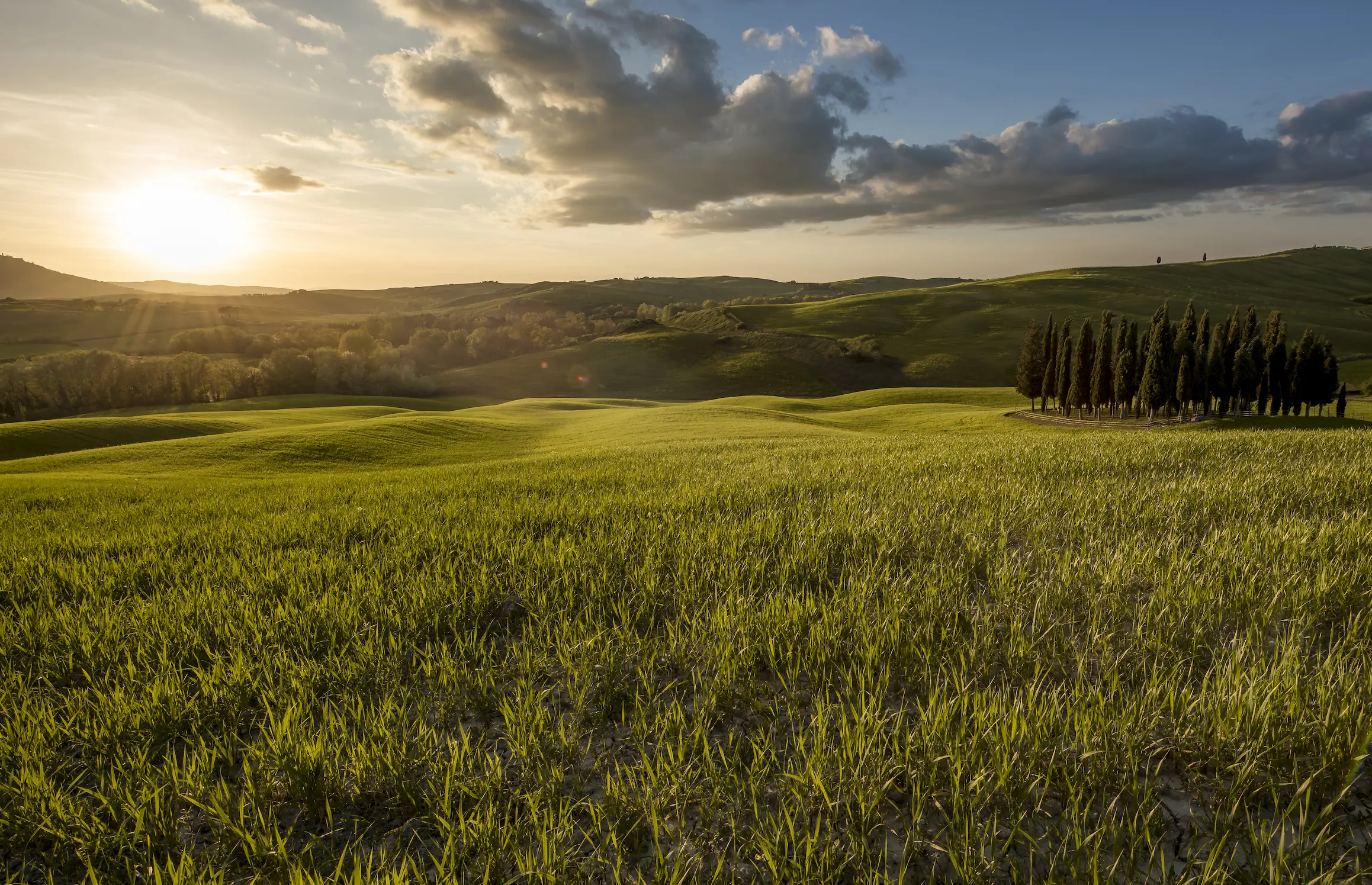 Un mondo sostenibile | BAMA